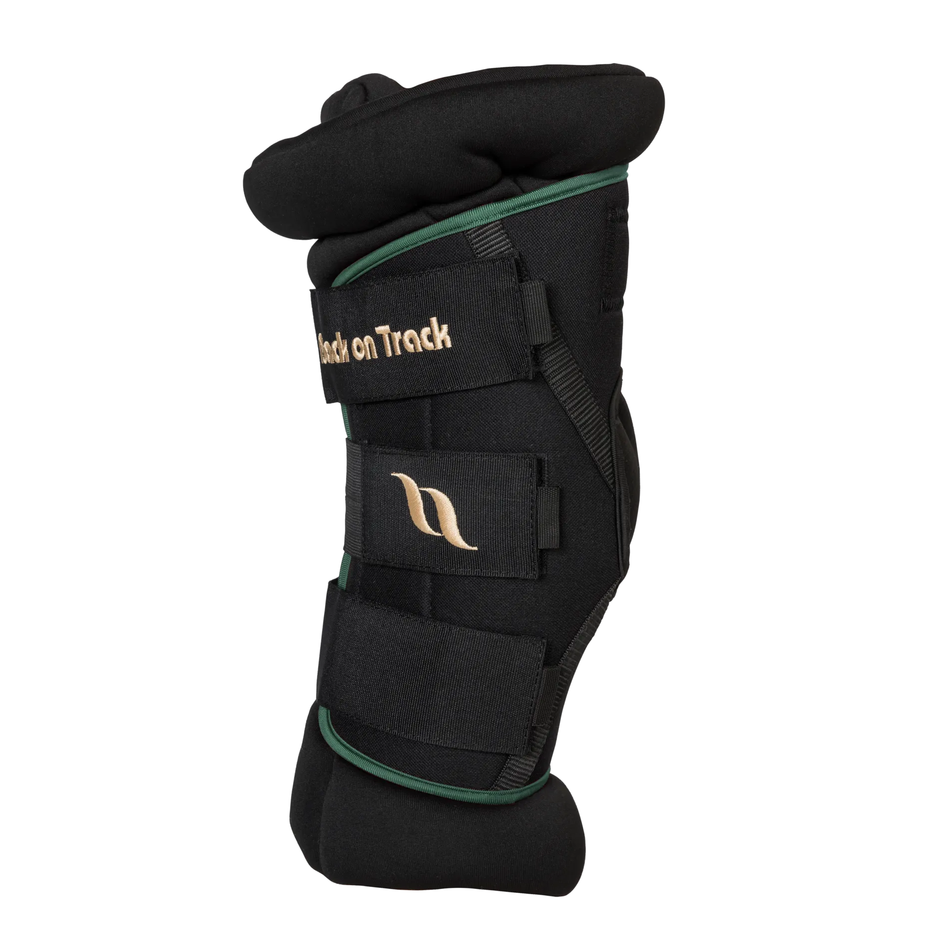 Back on Track Royal Deluxe Padded Hock Boots- Green