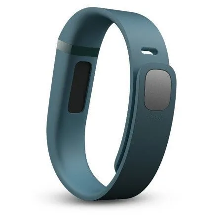 Fitbit Flex Fitness Tracking Wristband - Slate