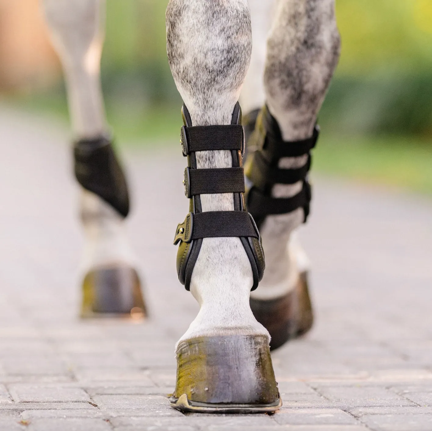 FRONT EQ-TEQ EQUIFIT BOOTS