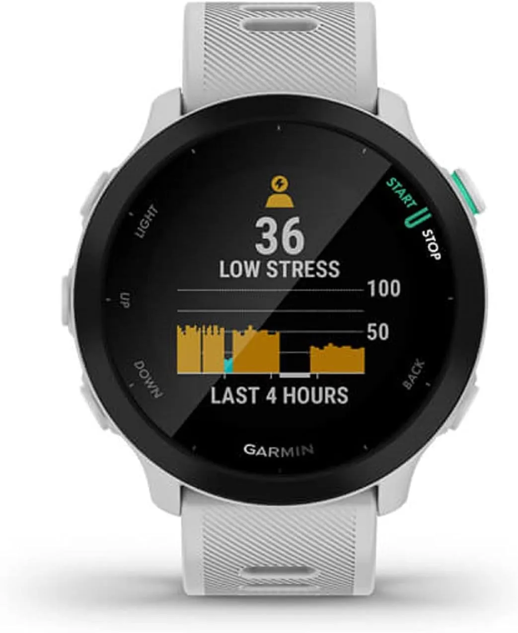 Garmin Forerunner 55, GPS running smartwatch