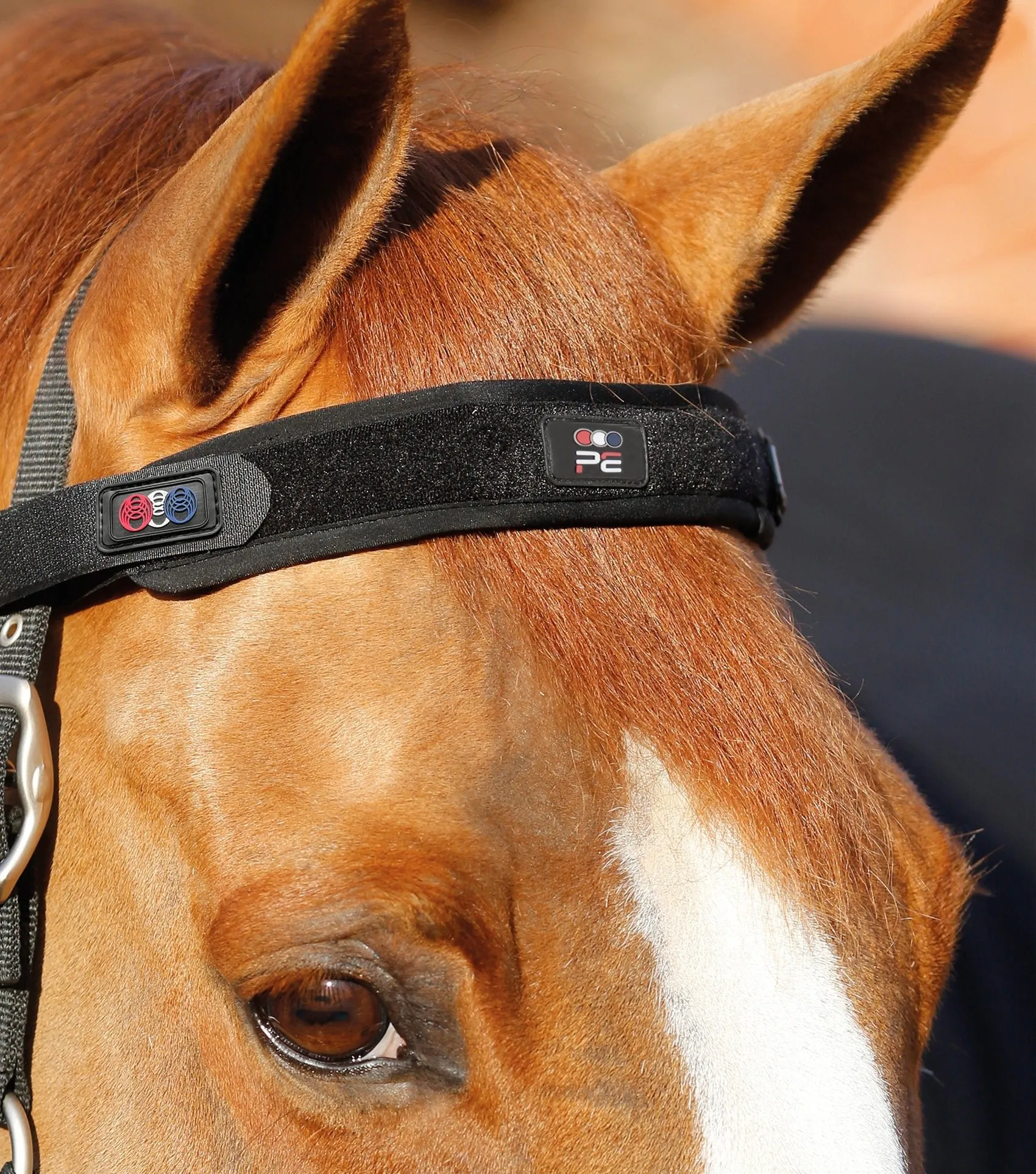 Magni-Teque Magnetic Browband