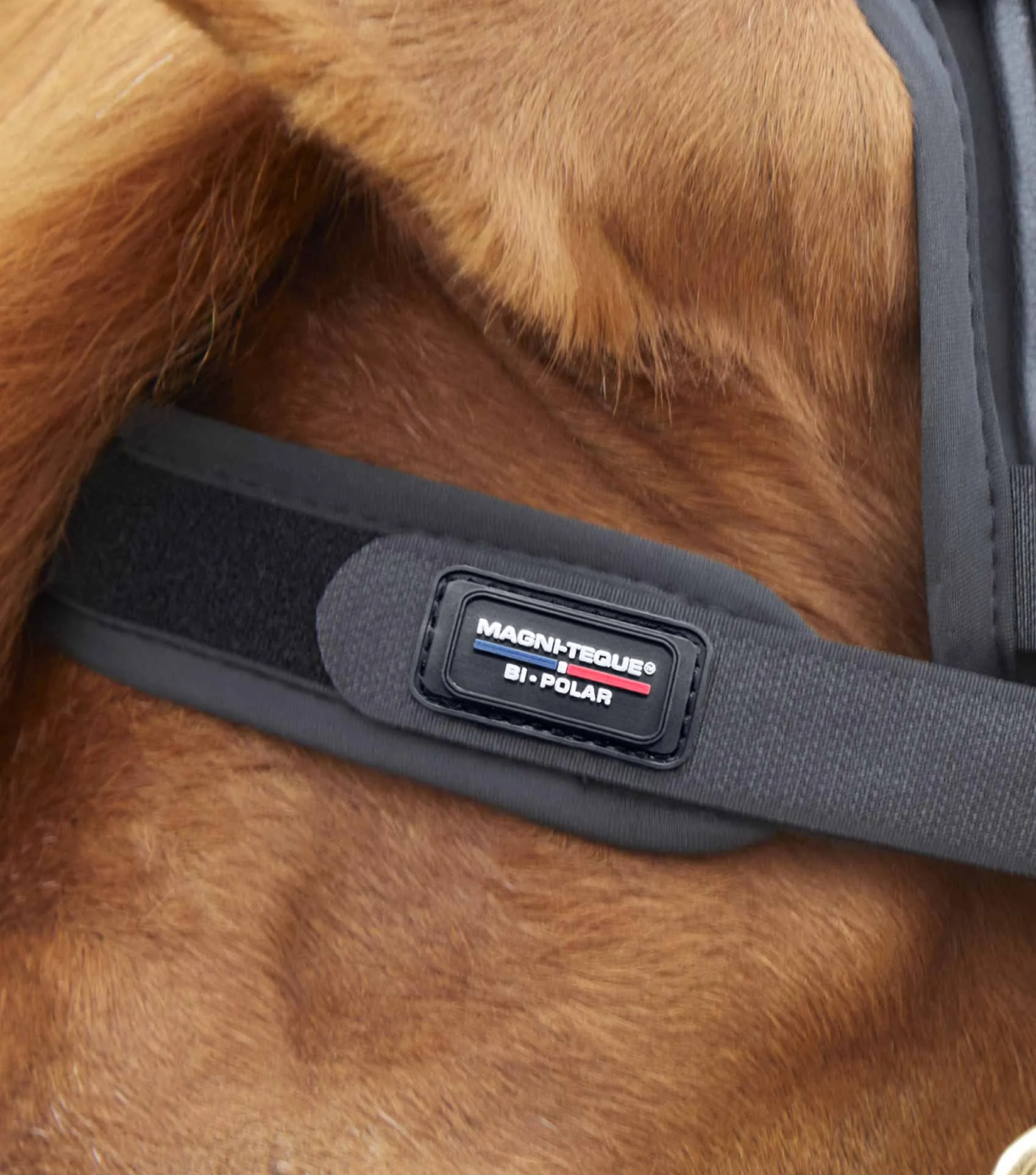 Magni-Teque Magnetic Browband