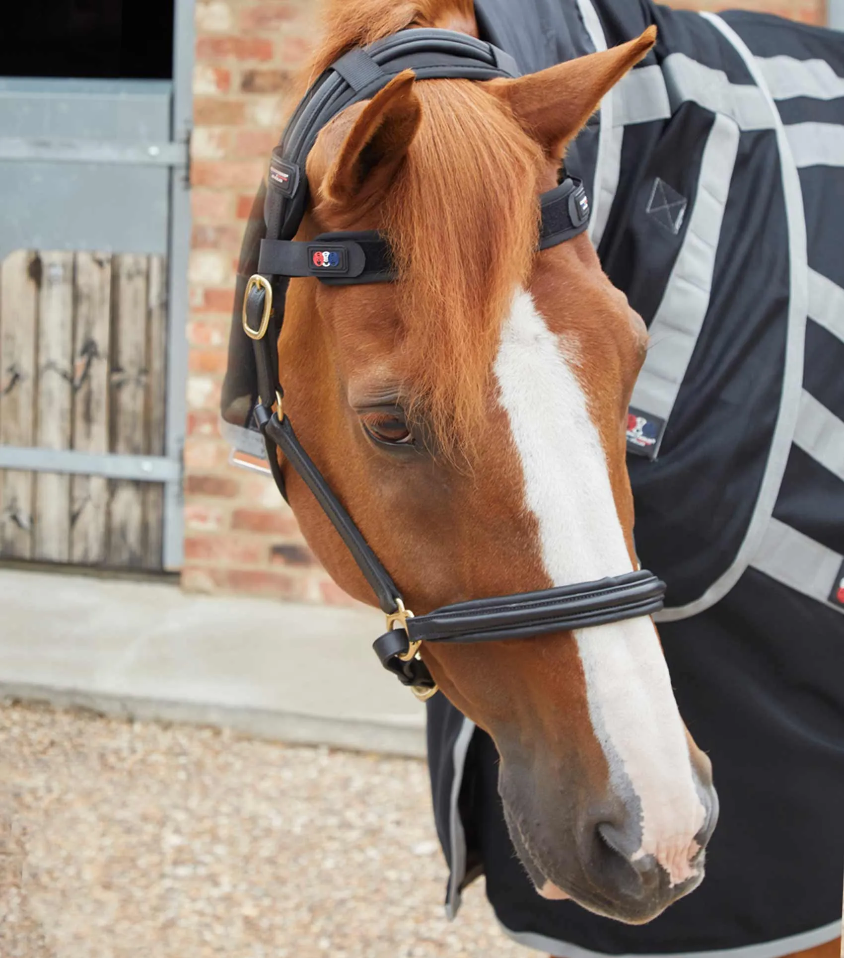 Magni-Teque Magnetic Browband