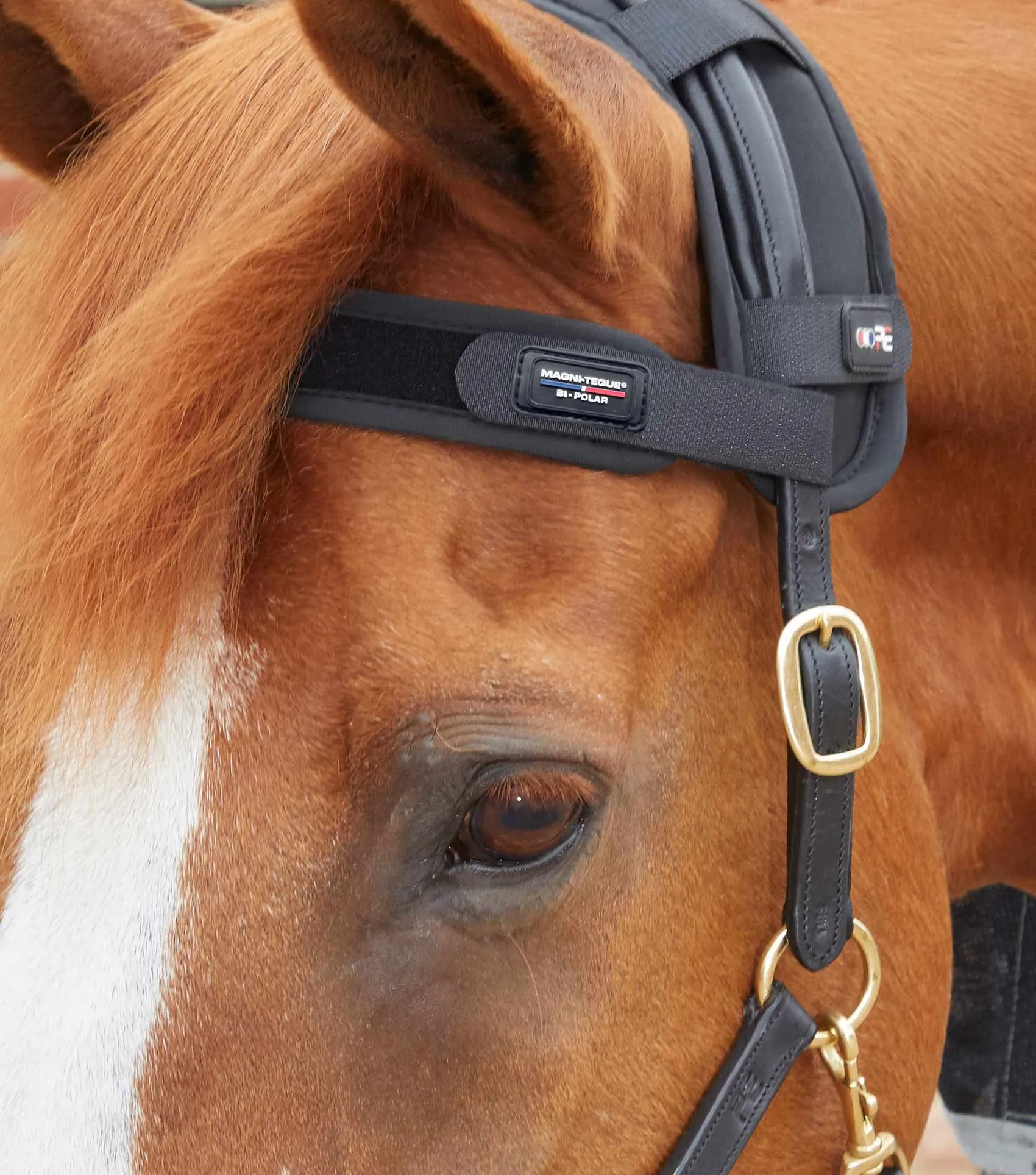 Magni-Teque Magnetic Browband